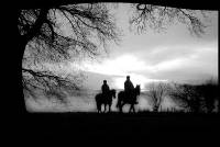 LASER - COUPLE ON HORSEBACK 